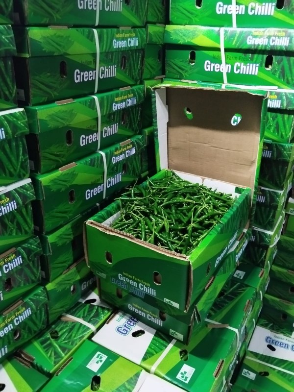 Fresh Green Chilly from India